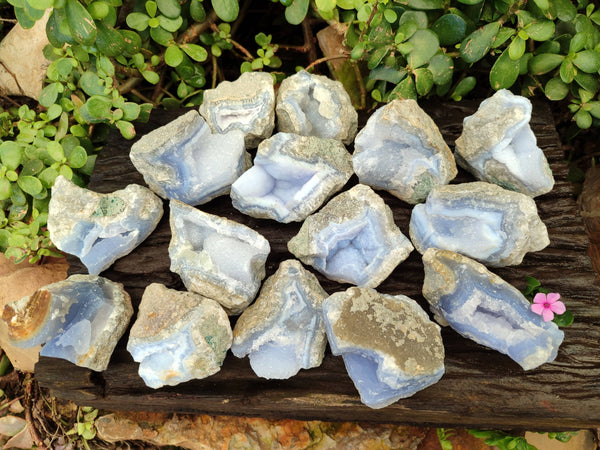 Natural Blue Lace Agate Geode Specimens x 24 From Malawi
