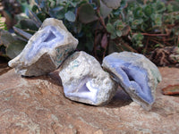 Natural Blue Lace Agate Geode Specimens x 24 From Malawi