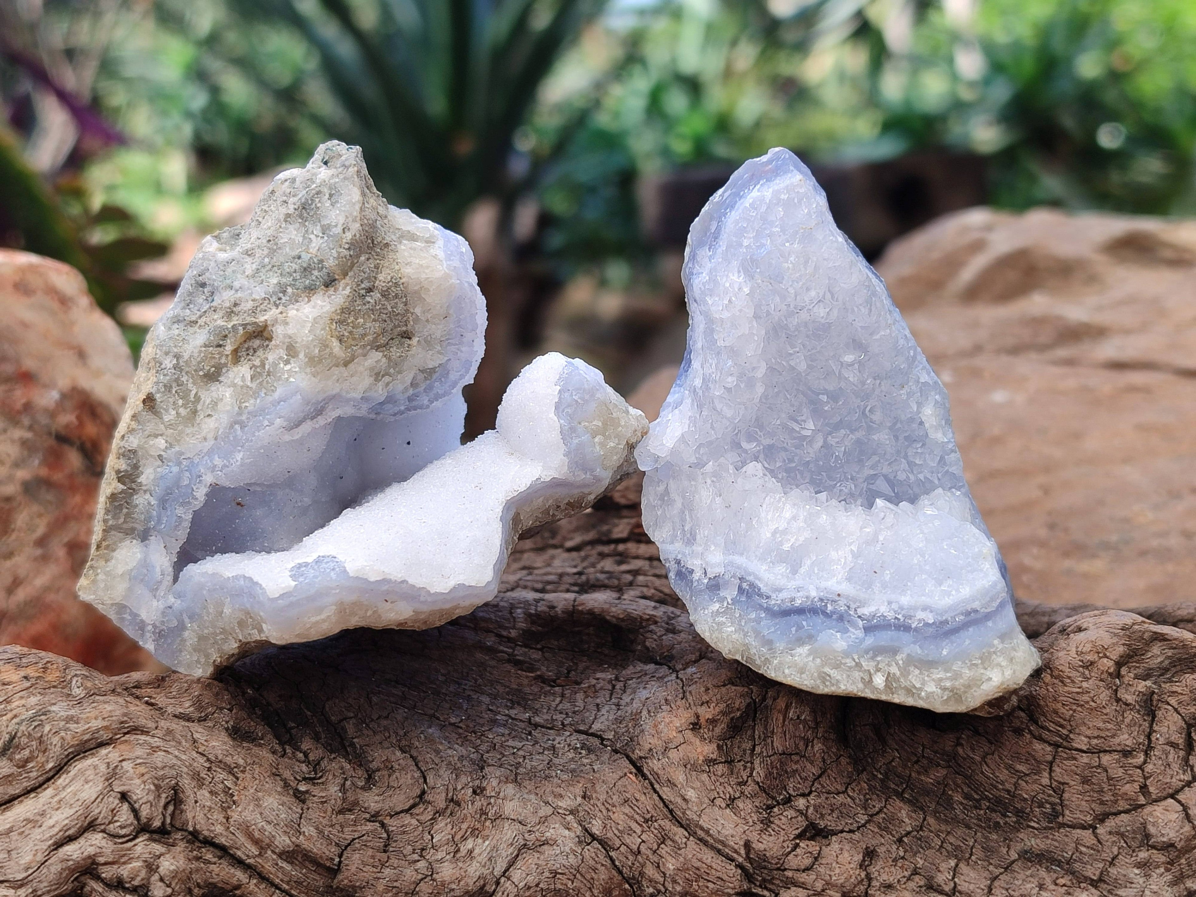 Natural Blue Lace Agate Geode Specimens x 24 From Malawi - Toprock Gemstones and Minerals 