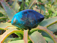 Polished Shattuckite Free Forms x 6 From Kaokoveld, Namibia