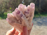 Natural Sugar Amethyst Quartz Clusters x 6 from Solwezi, Zambia