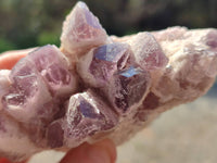 Natural Sugar Amethyst Quartz Clusters x 6 from Solwezi, Zambia