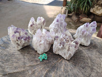 Natural Sugar Amethyst Quartz Clusters x 6 from Solwezi, Zambia