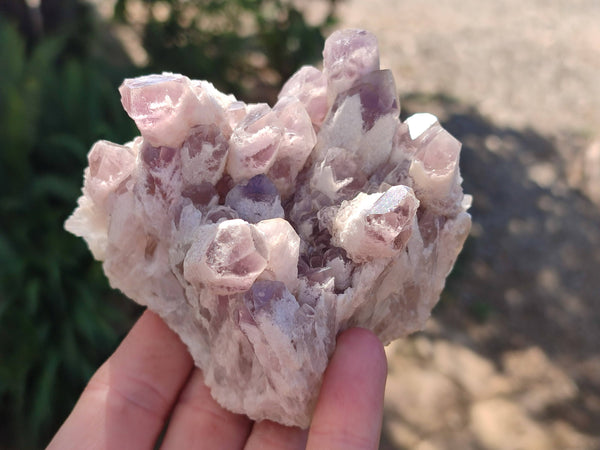 Natural Sugar Amethyst Quartz Clusters x 6 from Solwezi, Zambia