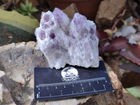 Natural Sugar Amethyst Quartz Clusters x 6 from Solwezi, Zambia