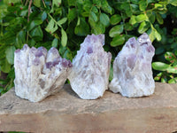 Natural Sugar Amethyst Quartz Clusters x 6 from Solwezi, Zambia