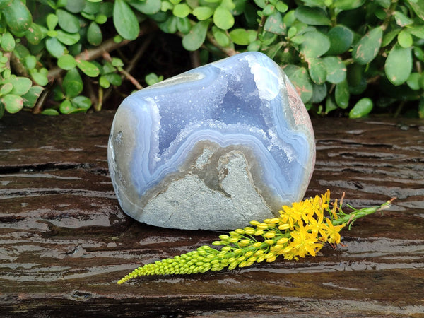 Polished Blue Lace Agate Standing Free Form x 1 From Malawi