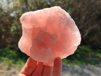 Natural Pink Rose Quartz Cobbed Specimens x 5 From North Cape, South Africa