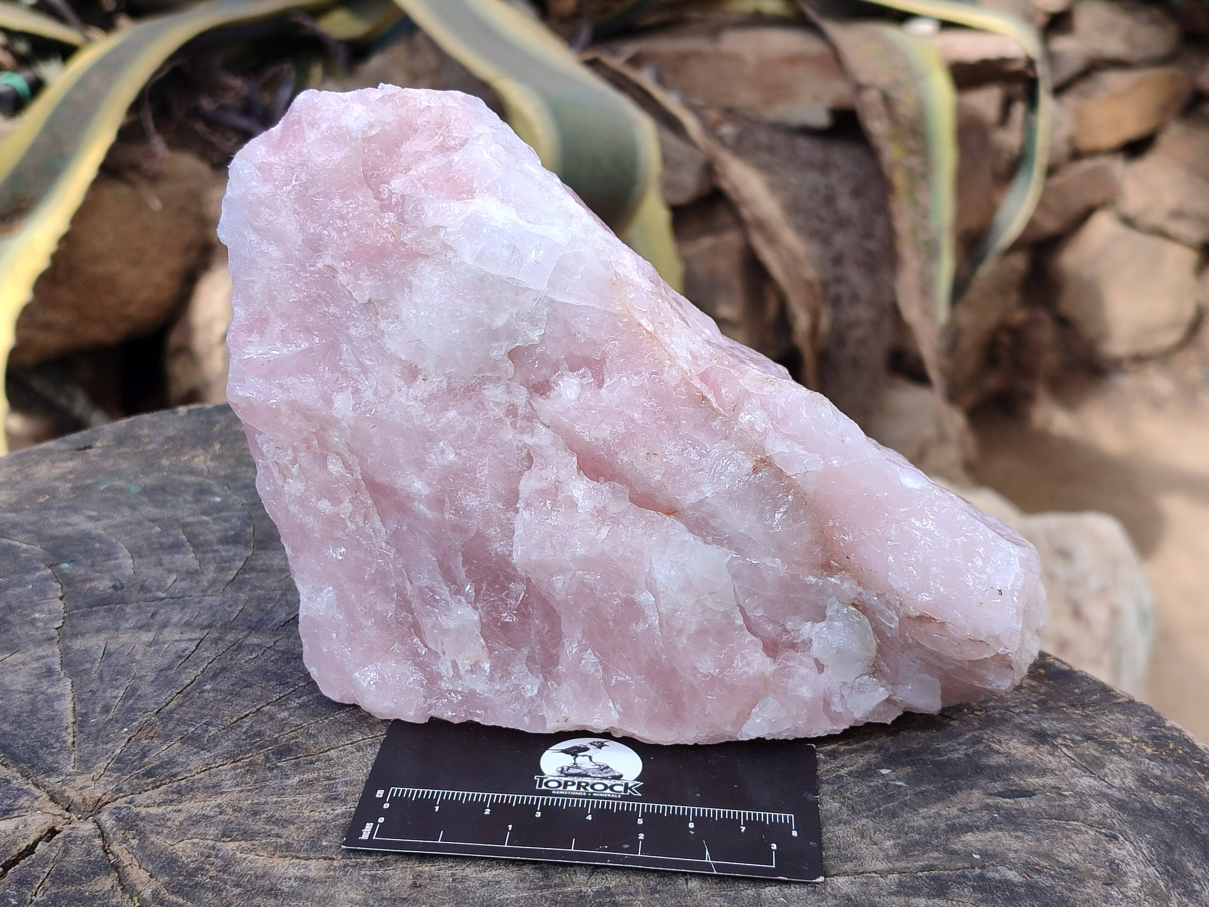 Natural Pink Rose Quartz Cobbed Specimens x 5 From North Cape, South Africa - Toprock Gemstones and Minerals 