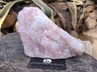 Natural Pink Rose Quartz Cobbed Specimens x 5 From North Cape, South Africa