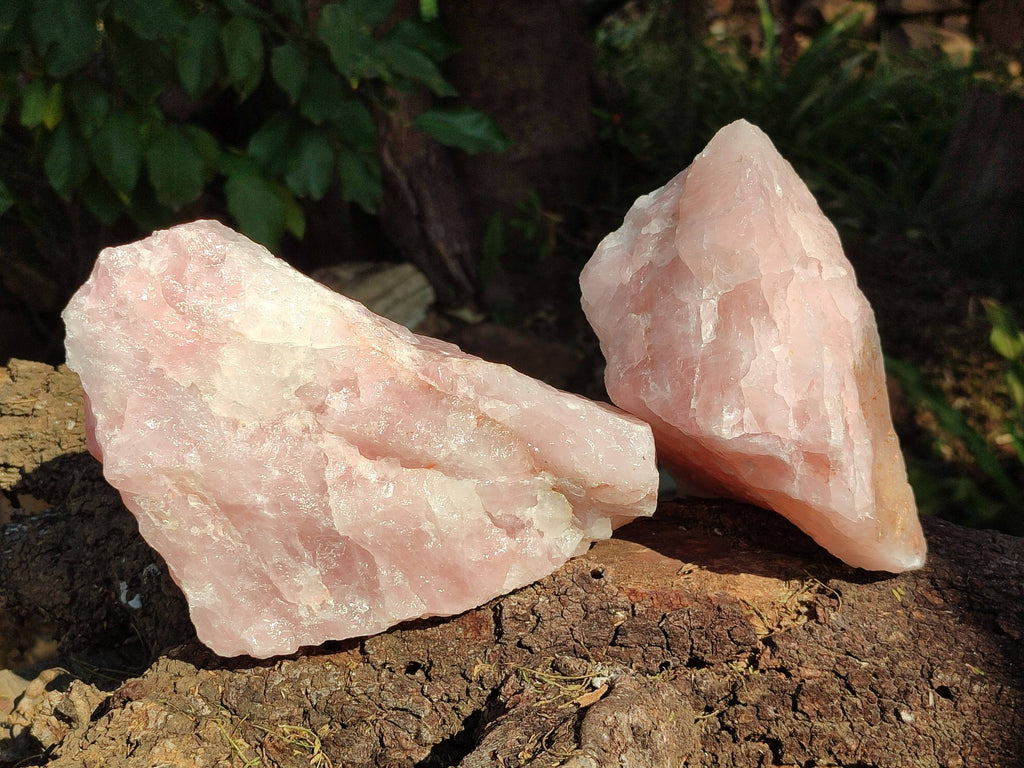 Natural Pink Rose Quartz Cobbed Specimens x 5 From North Cape, South Africa - Toprock Gemstones and Minerals 