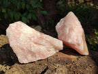 Natural Pink Rose Quartz Cobbed Specimens x 5 From North Cape, South Africa - Toprock Gemstones and Minerals 