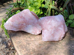 Natural Pink Rose Quartz Cobbed Specimens x 5 From North Cape, South Africa - Toprock Gemstones and Minerals 