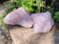 Natural Pink Rose Quartz Cobbed Specimens x 5 From North Cape, South Africa