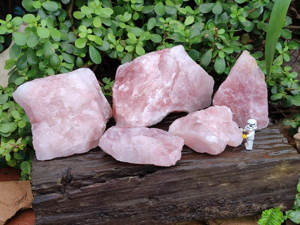 Natural Pink Rose Quartz Cobbed Specimens x 5 From North Cape, South Africa