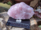 Natural Pink Rose Quartz Cobbed Specimens x 5 From North Cape, South Africa - Toprock Gemstones and Minerals 