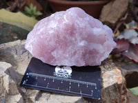 Natural Pink Rose Quartz Cobbed Specimens x 5 From North Cape, South Africa