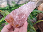 Natural Pink Rose Quartz Cobbed Specimens x 5 From North Cape, South Africa - Toprock Gemstones and Minerals 