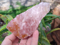 Natural Pink Rose Quartz Cobbed Specimens x 5 From North Cape, South Africa