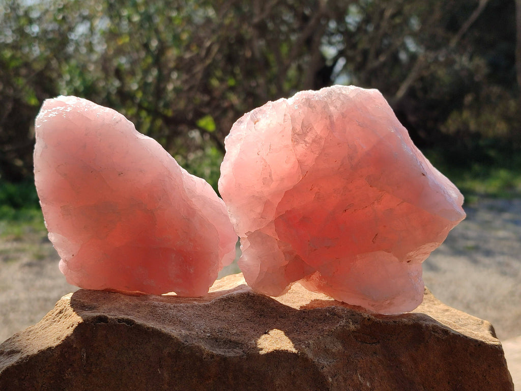Natural Pink Rose Quartz Cobbed Specimens x 5 From North Cape, South Africa - Toprock Gemstones and Minerals 