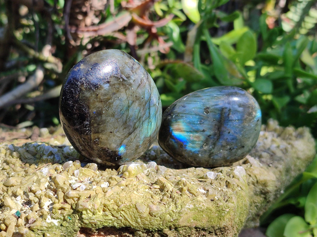 Polished Labradorite Palm Stones x 12 From Tulear, Madagascar - Toprock Gemstones and Minerals 