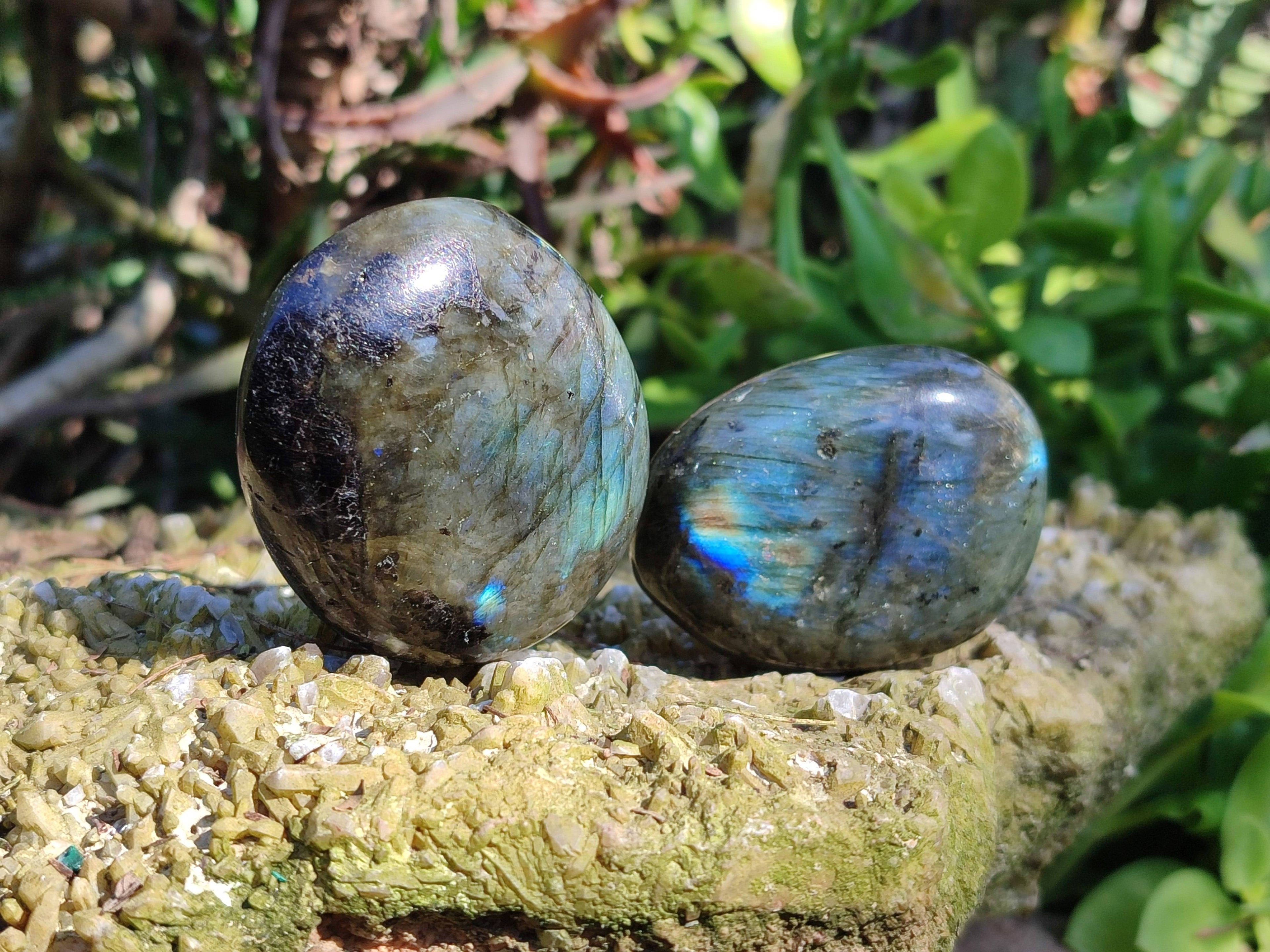 Polished Labradorite Palm Stones x 12 From Tulear, Madagascar - Toprock Gemstones and Minerals 