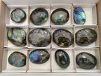 Polished Labradorite Palm Stones x 12 From Tulear, Madagascar - Toprock Gemstones and Minerals 