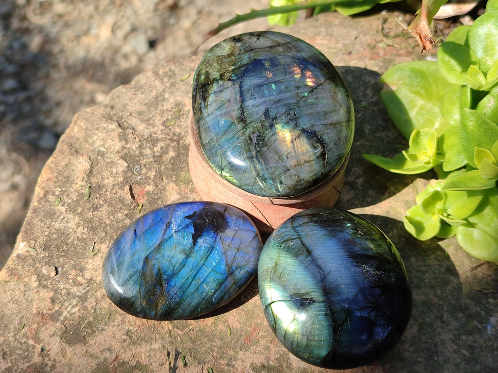 Polished Labradorite Palm Stones x 12 From Tulear, Madagascar - Toprock Gemstones and Minerals 