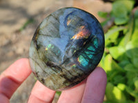 Polished Labradorite Palm Stones x 12 From Tulear, Madagascar - Toprock Gemstones and Minerals 