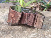 Polished On One Side Petrified Wood x 4 From Gokwe, Zimbabwe