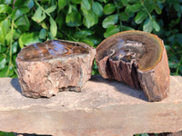 Polished On One Side Petrified Wood x 4 From Gokwe, Zimbabwe