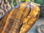 Polished Tigers Eye Standing Free Forms x 3 From South Africa - Toprock Gemstones and Minerals 