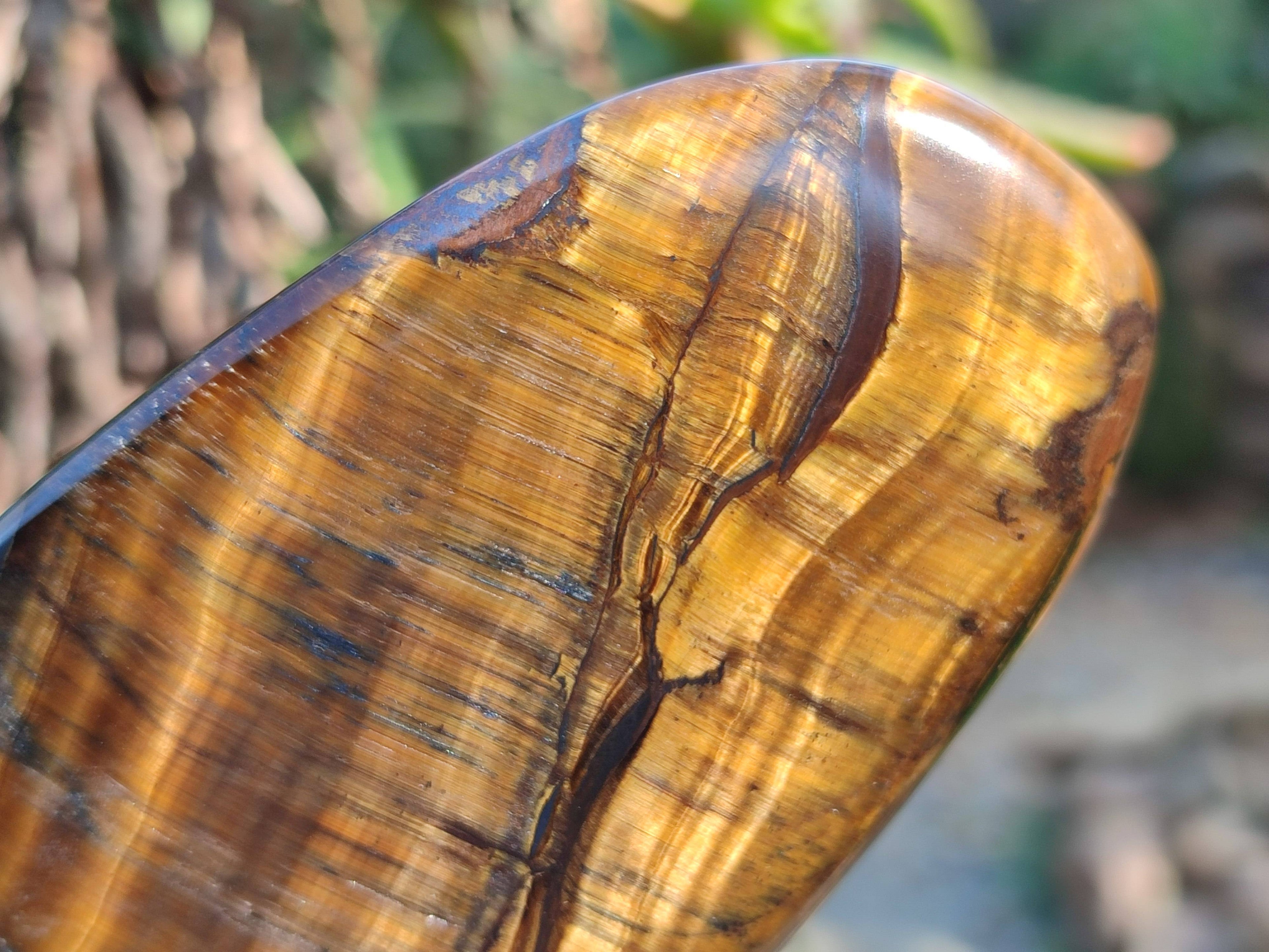 Polished Tigers Eye Standing Free Forms x 3 From South Africa - Toprock Gemstones and Minerals 