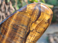 Polished Tigers Eye Standing Free Forms x 3 From South Africa