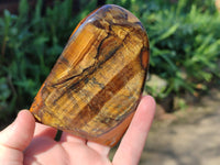 Polished Tigers Eye Standing Free Forms x 3 From South Africa