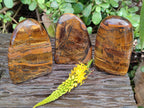 Polished Tigers Eye Standing Free Forms x 3 From South Africa - Toprock Gemstones and Minerals 