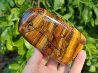Polished Tigers Eye Standing Free Forms x 3 From South Africa