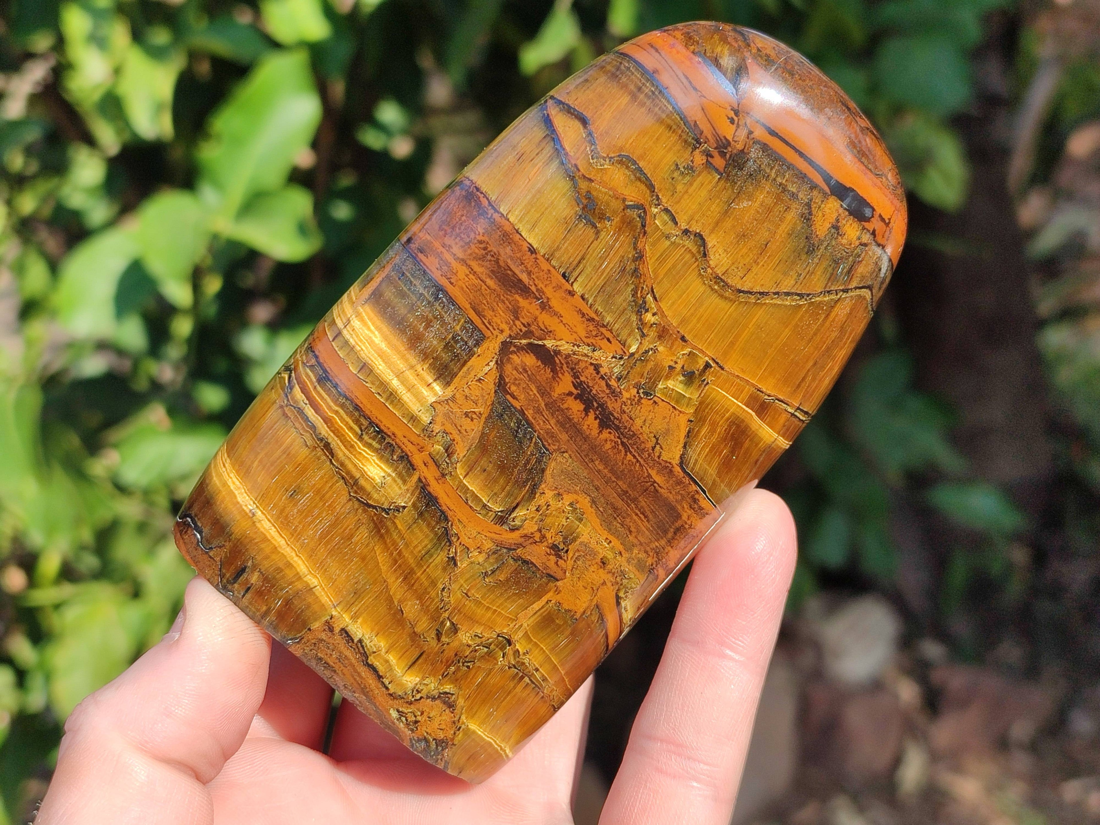 Polished Tigers Eye Standing Free Forms x 3 From South Africa - Toprock Gemstones and Minerals 