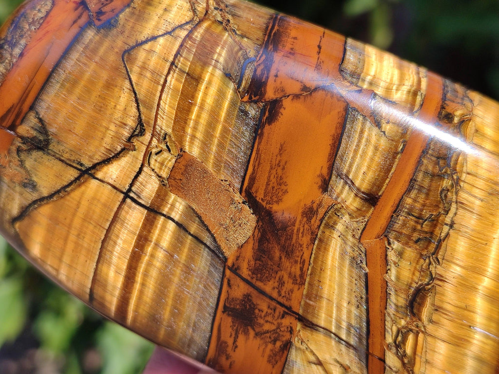 Polished Tigers Eye Standing Free Forms x 3 From South Africa - Toprock Gemstones and Minerals 