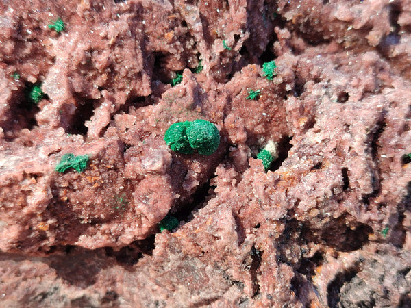 Natural Ball Malachite On Dolomite Matrix Specimen x 1 From Kambove, Congo
