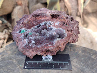 Natural Ball Malachite On Dolomite Matrix Specimen x 1 From Kambove, Congo