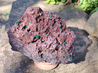 Natural Ball Malachite On Dolomite Matrix Specimen x 1 From Kambove, Congo
