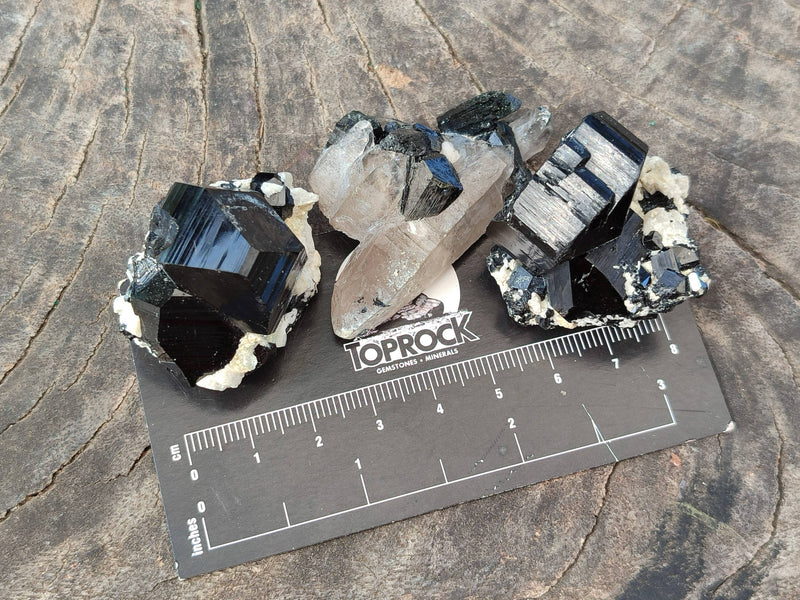 files/170748_18.jpg
