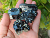 Natural Schorl Black Tourmaline Specimens x 12 From Namibia