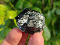 Natural Schorl Black Tourmaline Specimens x 12 From Namibia