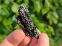 Natural Schorl Black Tourmaline Specimens x 12 From Namibia