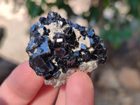 Natural Schorl Black Tourmaline Specimens x 12 From Namibia