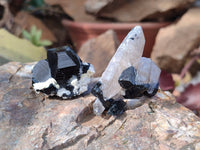 Natural Schorl Black Tourmaline Specimens x 12 From Namibia