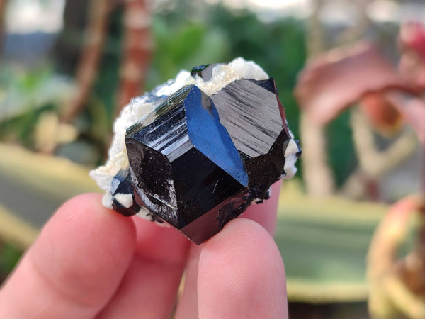 Natural Schorl Black Tourmaline Specimens x 12 From Namibia