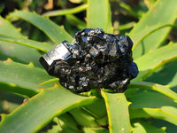 Natural Schorl Black Tourmaline Specimens x 12 From Namibia